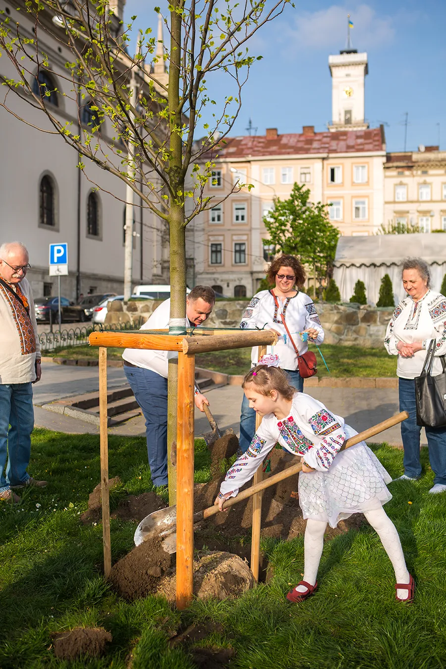 Посадка тюльпанового дерева у пам’ять про Лео, 2024 рік